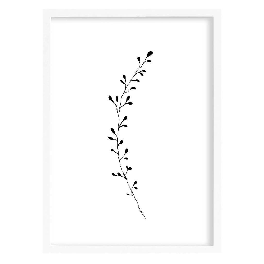Botanical Seed Head Print